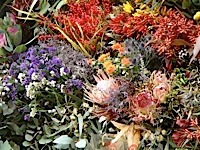 La Rambla de las Flores