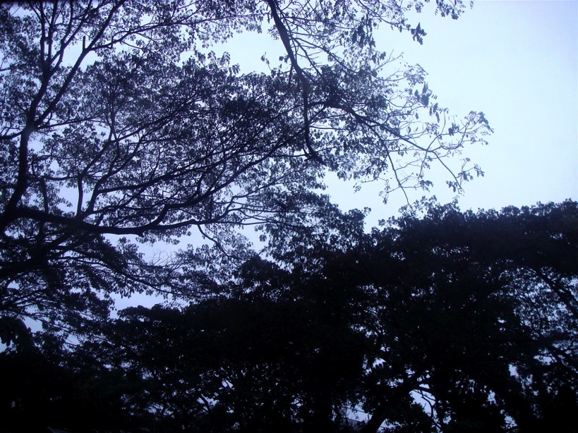 El gris del cielo con la torm