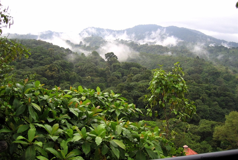 en la montaña, nubes