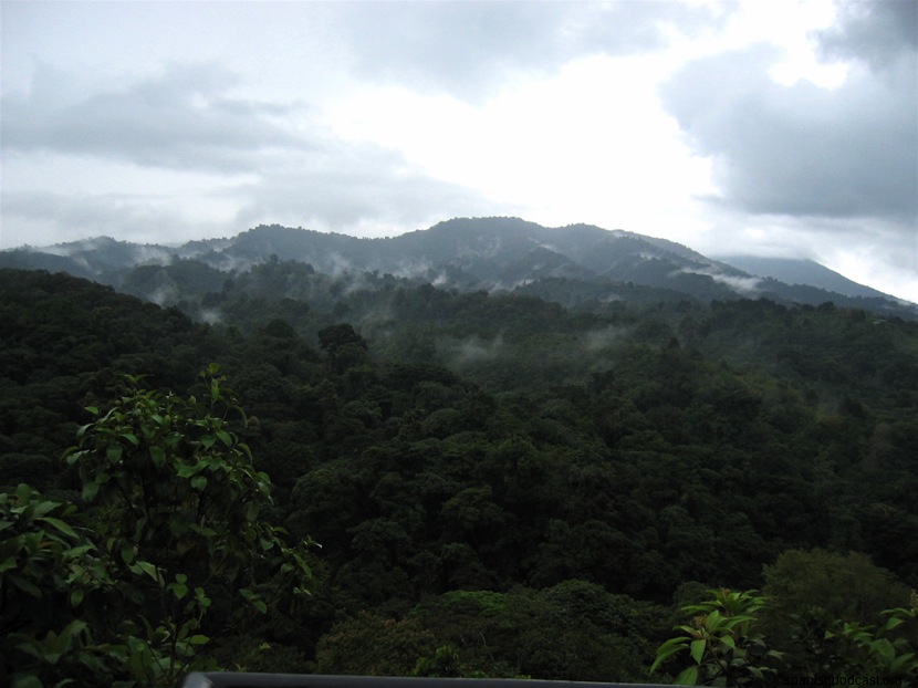 montaña, naturaleza.
