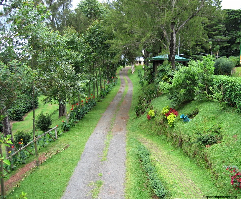 un simple sendero para pasear